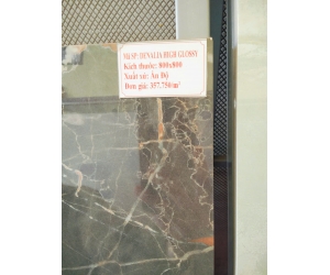 GẠCH ẤN ĐỘ DENALIA HIGH GLOSSY