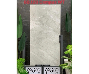 GẠCH ẤN ĐỘ CAMPUS WT