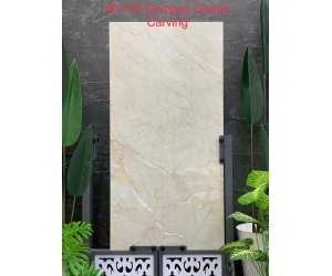 GẠCH ẤN ĐỘ CAMPUS CREMA CARVING