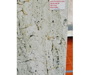 GẠCH ẤN ĐỘ DYNA IMPASTA GLOSSY