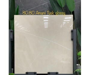 GẠCH ẤN ĐỘ AMANI TUSK GLOSSY