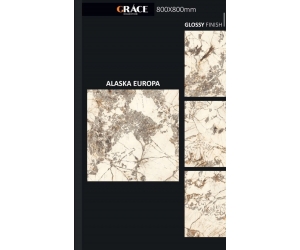 GẠCH ẤN ĐỘ ALASKA EUROPA GLOSSY