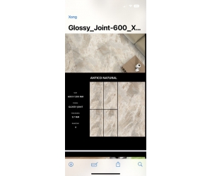 GẠCH ẤN ĐỘ SIÊU BÓNG